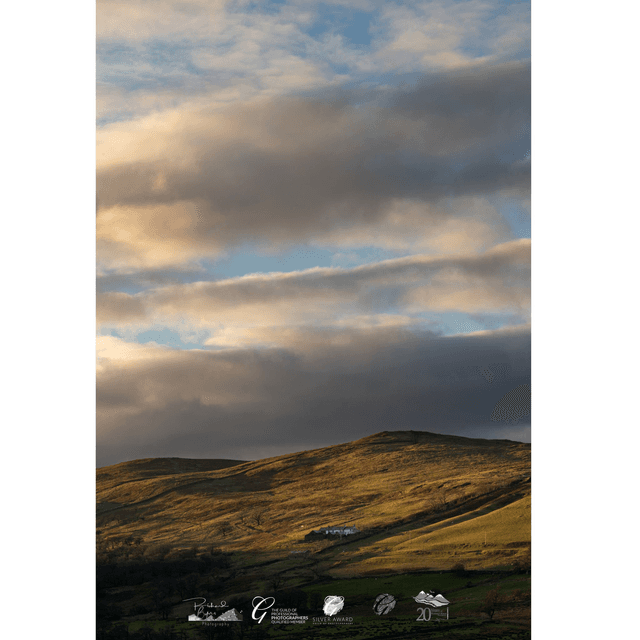Evening Hillside