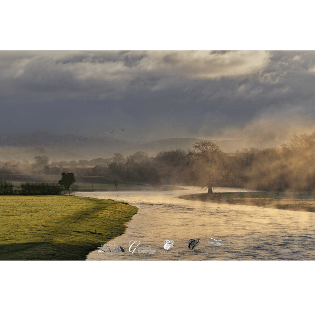 Mist Over Broughton Beck